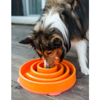 Product Outward Hound Fun Slow Feeder Bowls