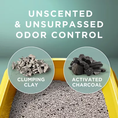 Product Purina® Tidy Cats® Free & Clean Natural Clumping Multi-Cat Clay Cat Litter - Unscented, Low Dust