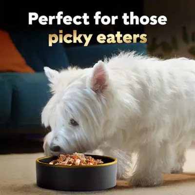 Product Cesar® Simply Crafted  Adult Wet Dog Food & Meal Topper - Grain Free, 1.30 Oz.