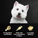 Product Cesar® Simply Crafted All Life Stage Wet Dog Food & Meal Topper - Grain Free, Variety Pack, 8 Count