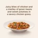 Product Rachael Ray Nutrish Wet Dog Food All Life Stage - Chicken, Sweet Potato, Green Bean