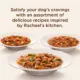 Product Rachael Ray Nutrish Wet Dog Food All Life Stage - Chicken, Sweet Potato, Green Bean, Beef, Potato