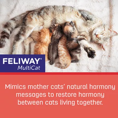 Product Feliway® MultiCat Calming Diffuser - Anxiety/Stress Relief for Cats - 2x 48mL 30 Day Refill