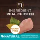 Product Purina ONE True Instinct Grain Free Dry Cat Food - Chicken