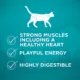 Product Purina ONE True Instinct Grain Free Dry Cat Food - Chicken
