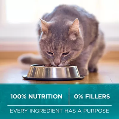 Product Purina ONE True Instinct Grain Free Dry Cat Food - Chicken
