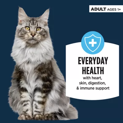 Product Authority® Everyday Health Adult Cat Wet Food - 5.5 Oz, Pate, With-Grain