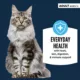 Product Authority® Everyday Health Adult Cat Wet Food - 5.5 Oz, Pate, With-Grain