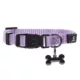 Product Top Paw® Purple or Lavendar Gunmetal Dog Collar