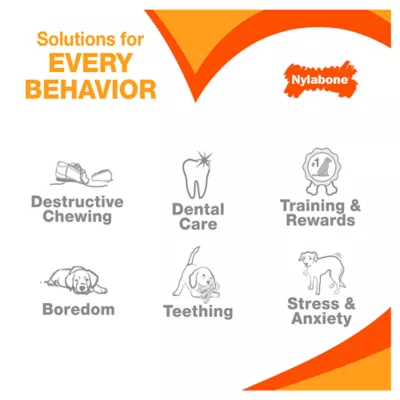 Product Nylabone® DuraChew® Flavor Frenzy Beef Jerky Chew Dog Toy