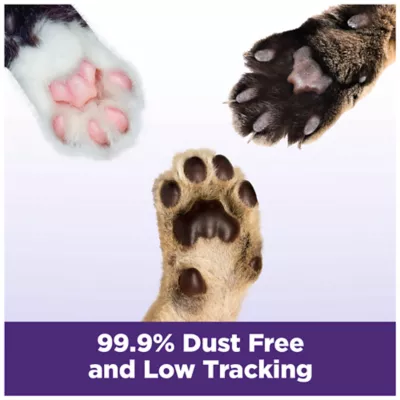 Product Arm & Hammer™ Clump & Seal Slide Clumping Multi-Cat Clay Cat Litter - Low Dust