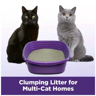 Product Arm & Hammer™ Clump & Seal Slide Clumping Multi-Cat Clay Cat Litter - Low Dust