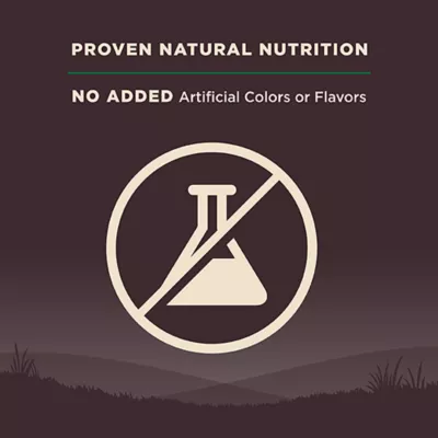 Product Wellness CORE Adult Dog Food - Natural, Grain Free, Lamb