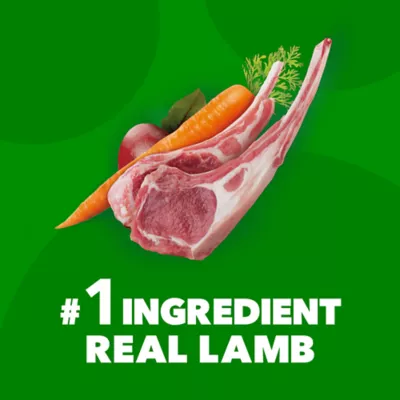 Product IAMS™ Proactive Health Adult Dry Dog Food - Lamb & Rice