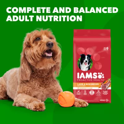 Product IAMS™ Proactive Health Adult Dry Dog Food - Lamb & Rice