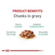 Product Royal Canin Feline Adult Wet Cat Food, Nutrition Digestive Care - Chunks in Gravy, 3 oz.