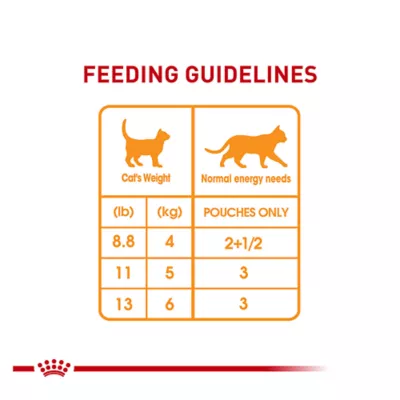 Royal Canin Feline Adult Wet Cat Food, Nutrition Hair Skin Care