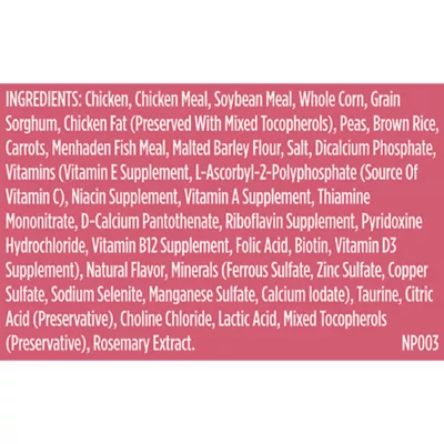 Product Rachael Ray Nutrish Whole Health Blend Small Breed Adult Dry Dog Food - Chicken & Veggies