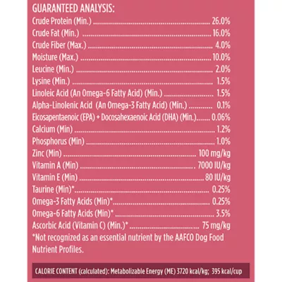 Product Rachael Ray Nutrish Whole Health Blend Small Breed Adult Dry Dog Food - Chicken & Veggies