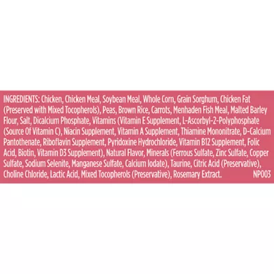 Product Rachael Ray Nutrish Whole Health Blend Small Breed Adult Dry Dog Food - Chicken & Veggies