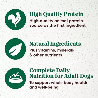 Product NUTRO ULTRA™  Adult Wet Dog Food - Filets in Gravy , 3.5 Oz.