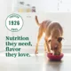 Product NUTRO ULTRA™ Adult Wet Dog Food - Filets in Gravy , 12 Count