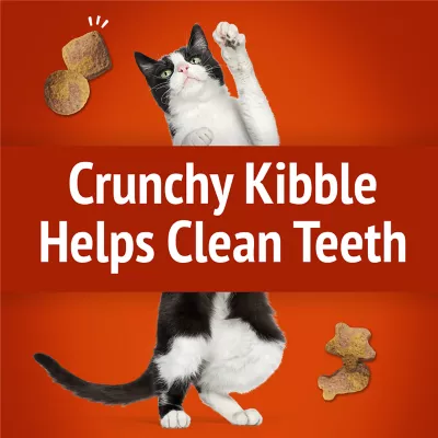 Product Purina® Friskies® Party Mix Adult Crunchy Cat Treats -Gravy-licious, 20oz