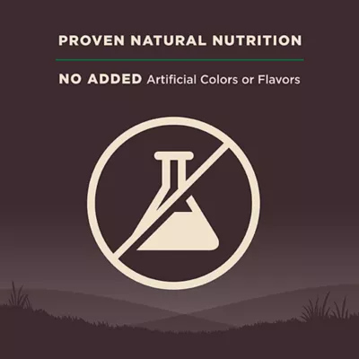 Product Wellness CORE Adult Dog Food - Natural, Grain Free, Lamb