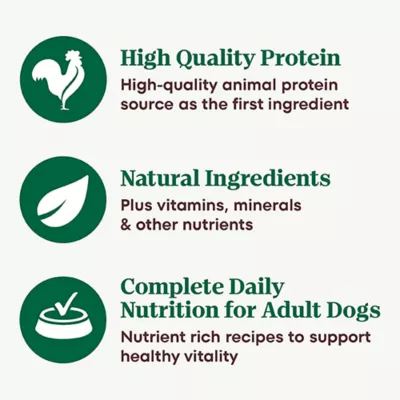 Product Nutro Natural Choice™ Cuts in Gravy Adult Wet Dog Food - Grain Free, Variety Pack, 12 Count