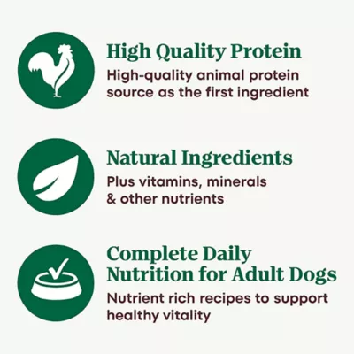 Product Nutro Natural Choice™ Cuts in Gravy Adult Wet Dog Food - Grain Free, Variety Pack, 12 Count