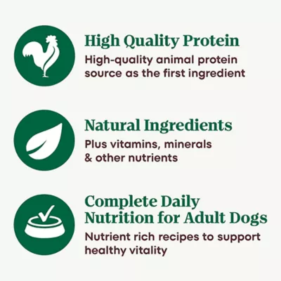 Product Nutro Natural Choice™ Cuts in Gravy Adult Wet Dog Food - Grain Free, Variety Pack, 24 Count