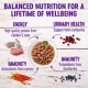 Product Wellness® Healthy Indulgence Adult Cat Wet Food - Grain Free, Gravies, Variety Pack, 8 Ct, 24 Oz