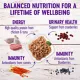 Product Wellness® Healthy Indulgence Adult Cat Wet Food - Grain Free, Shreds, Variety Pack, 8 CT, 24 Oz