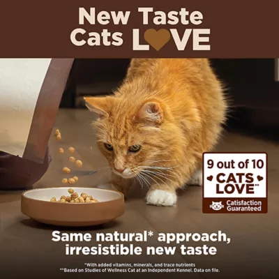 Product Wellness® CORE® Indoor Adult Cat Food - Natural, Grain Free, Salmon & Herring Meal