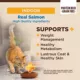 Product Wellness® CORE® Indoor Adult Cat Food - Natural, Grain Free, Salmon & Herring Meal