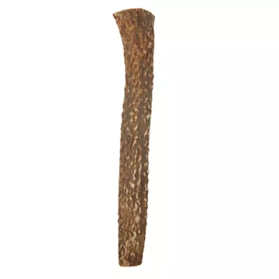 Product Dentley's® Nature's Chews Split Elk Antler Dog Chew