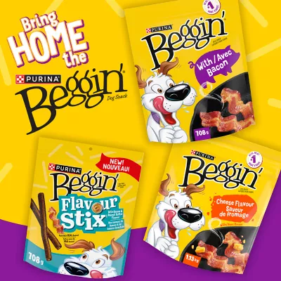 Product Beggin' Strips Dog Treat - Bacon & Cheese