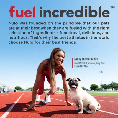 Product Nulo MedalSeries  All Life Stages Dry Dog Food - Turkey
