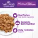 Product Wellness® Complete Health Adult Cat Wet Food - Natural, Grain Free, Minced, 5.5 Oz