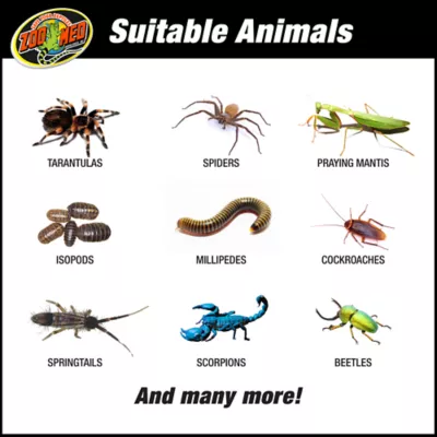 Product Zoo Med Creatures Creature Den Low Profile Reptile Terrarium