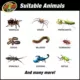 Product Zoo Med Creatures Creature Den Low Profile Reptile Terrarium