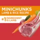 Product Iams Proactive Health Minichunks Adult Dry Dog Food with Real Lamb & Rice