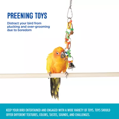 Product All Living Things® Chain Dangler Bird Toy