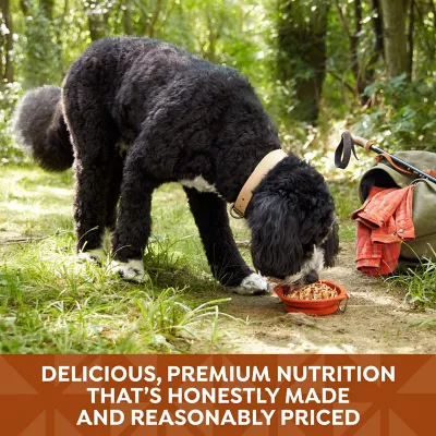 Product Nature's Recipe Adult Wet Dog Food - Chicken, Venison, Duck