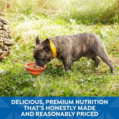 Product Nature's Recipe Adult Wet Dog Food - Chicken, Salmon, Turkey