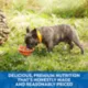 Product Nature's Recipe Adult Wet Dog Food - Chicken, Salmon, Turkey