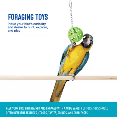 Product All Living Things® Holi Ball Bird Toy (COLOR VARIES)