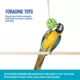 Product All Living Things® Holi Ball Bird Toy (COLOR VARIES)