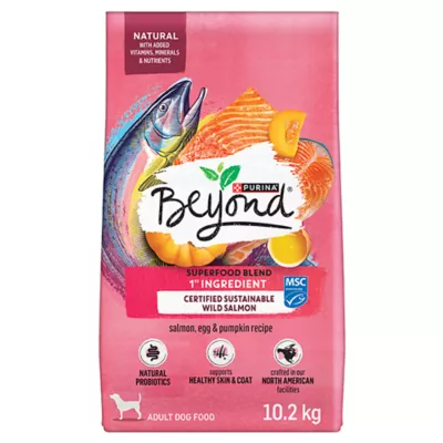 Product Beyond Superfood Blend Dry Dog Food - Wild Caught Salmon, Egg & Pumpkin Recipe