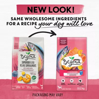 Product Beyond Superfood Blend Dry Dog Food - Wild Caught Salmon, Egg & Pumpkin Recipe